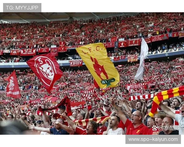 英超俱乐部社区活动：阿森纳青训营开放日吸引千人